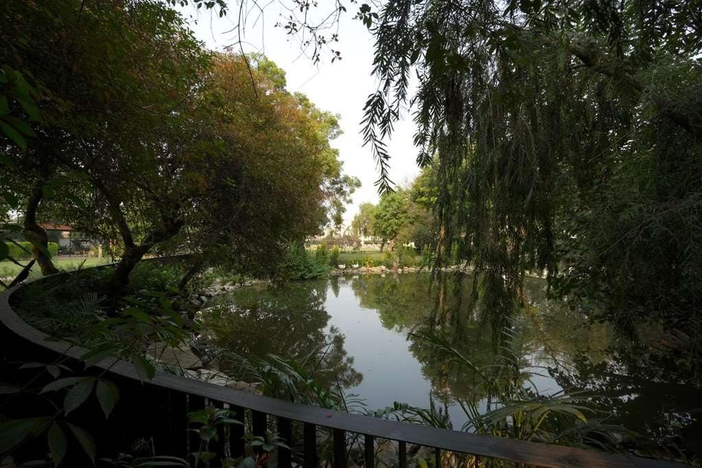 Best Western Resort Country Club Γκουργκάον Εξωτερικό φωτογραφία